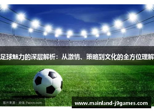 足球魅力的深层解析：从激情、策略到文化的全方位理解