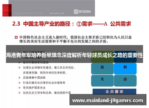 海港青年军培养新星理念深度解析年轻球员成长之路的重要性